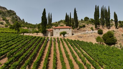 Κτήμα Μέγα Σπήλαιο/Οινοτουρισμός Μοναδικός προορισμός/ Σπάνια οινική εμπειρία