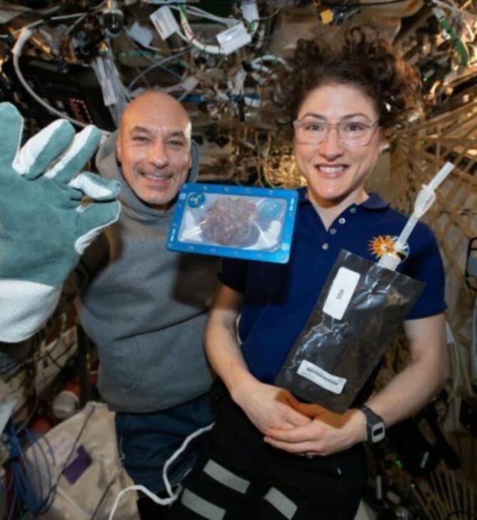 Αστροναύτες έψησαν τα πρώτα διαστημικά μπισκότα με σοκολάτα