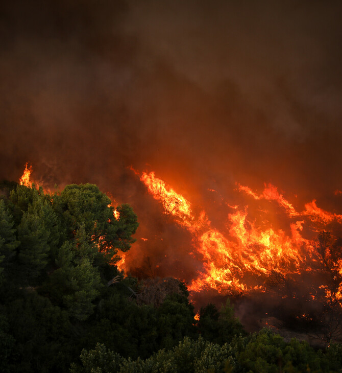 Φωτιά και στο Μαρτίνο Φθιώτιδας - Κοντά στην εθνική οδό Αθηνών- Λαμίας