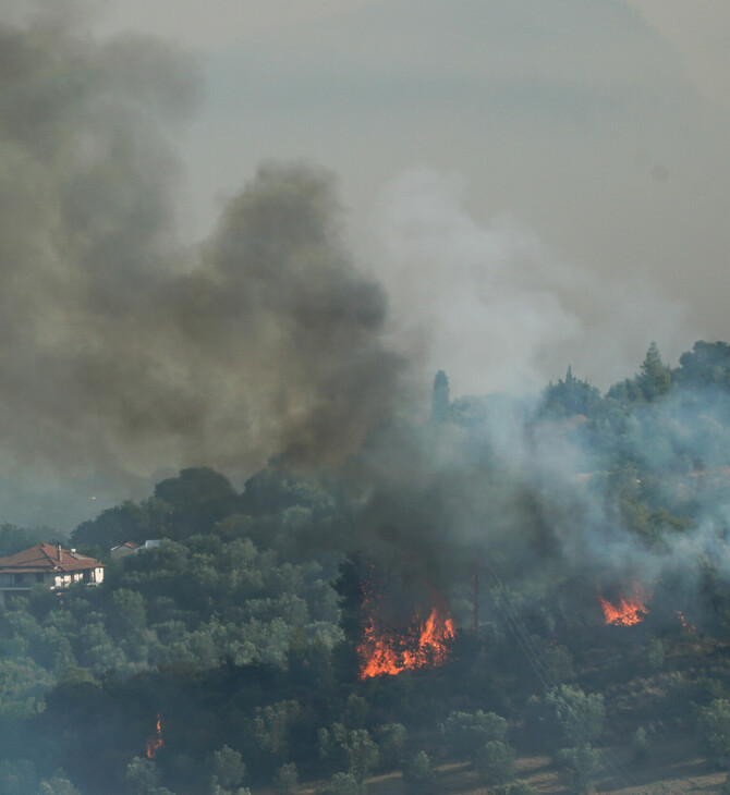 Φωτιά στην Αρχαία Ολυμπία με διπλό μέτωπο- Μεγάλη επιχείρηση της πυροσβεστικής