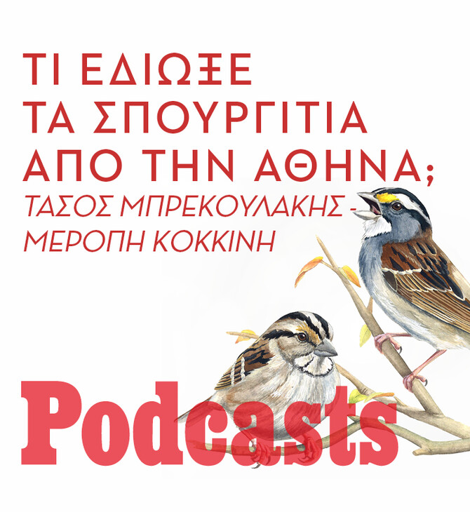 ΠΕΜΠΤΗ 25/11 - ΕΧΕΙ ΠΡΟΓΡΑΜΑΤΙΣΤΕΙ-ΗΧΗΤΙΚΟ ΣΕ ΛΙΓΟ-Μα γιατί εξαφανίστηκαν τα σπουργίτια από την Αθήνα;