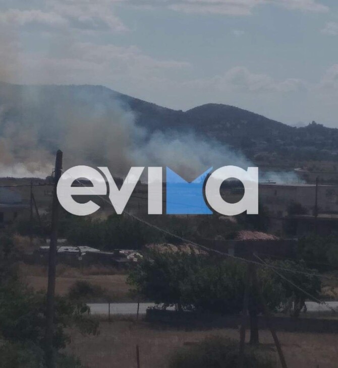 Εύβοια: Φωτιά στα Κριεζά - Κοντά σε σπίτια οι φλόγες
