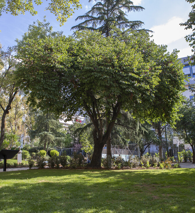 Η ΦΙΞ Ελλάς συνεχίζει να κάνει πιο «πράσινο» το κέντρο της Αθήνας