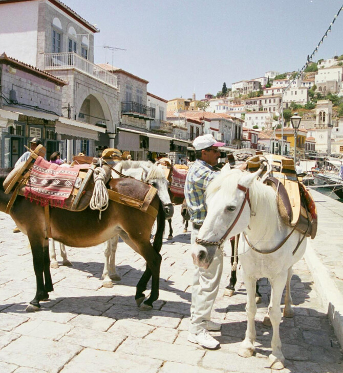 Απαγορεύεται η εργασία και μεταφορά των ιπποειδών σε συνθήκες καύσωνα