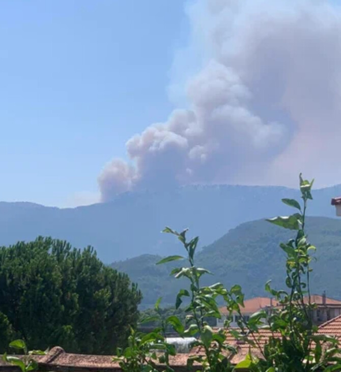 Φωτιά σε Μακρυκώμη Φθιώτιδας και Κρυονέρι Αιτωλοακαρνανίας