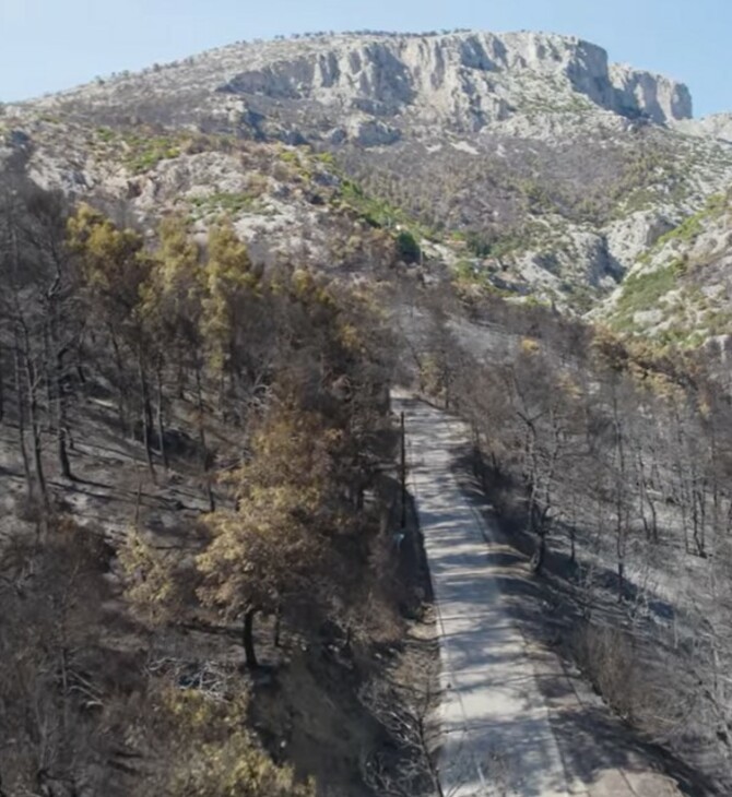 Η Φυλή πριν και μετά την καταστροφική φωτιά - Εικόνες από drone