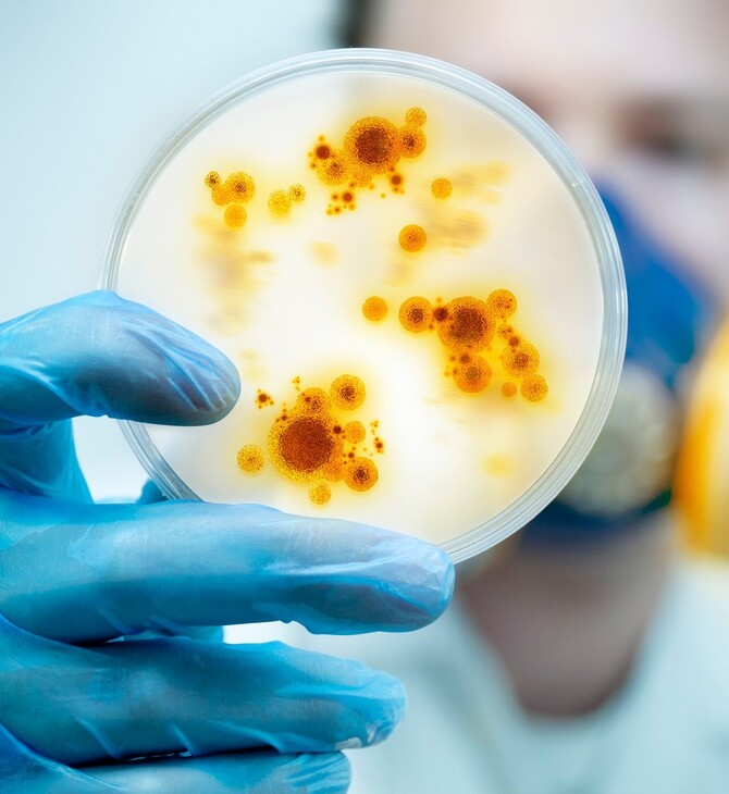 Καμπανάκι κινδύνου για τις λοιμώξεις και τα «πανανθεκτικά» μικρόβια χτυπούν οι λοιμωξιολόγοι