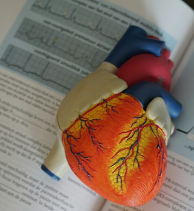 ΗΠΑ: Έξι στους δέκα ενήλικες θα έχουν κάποιο είδος καρδιαγγειακής νόσου τα επόμενα 30 χρόνια, λέει μελέτη