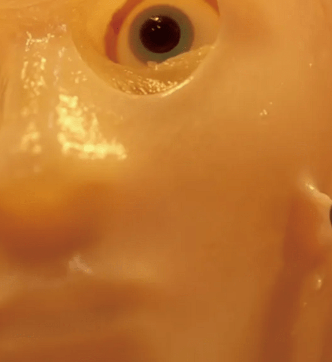 Ιαπωνία: Πρόσωπα φτιαγμένα από αληθινό δέρμα κάνουν τα ρομπότ να χαμογελούν