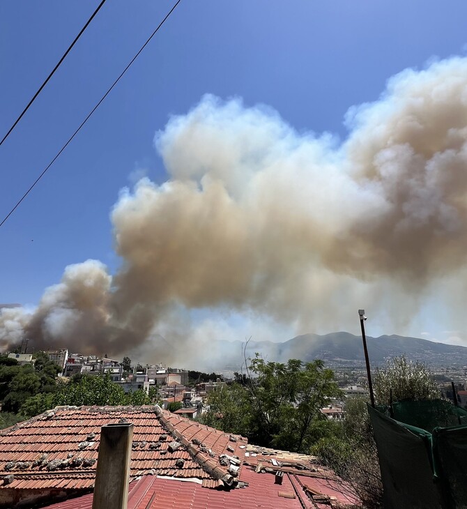 Φωτιά στην Πάτρα: Εκκενώθηκε δομή ΑμεΑ και το γηροκομείο της πόλης 