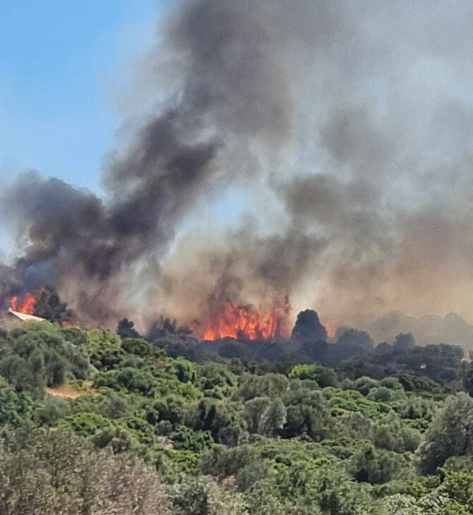 Φωτιά στην Χίο: Βελτιωμένη εικόνα από το μέτωπο - Συνεχίζονται οι προσπάθειες κατάσβεσης