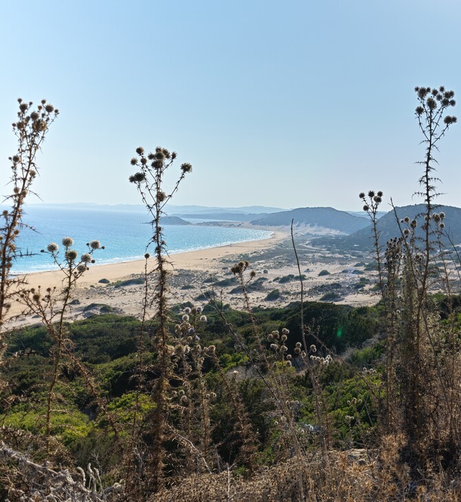 Οι άμμοι της Καρπασίας