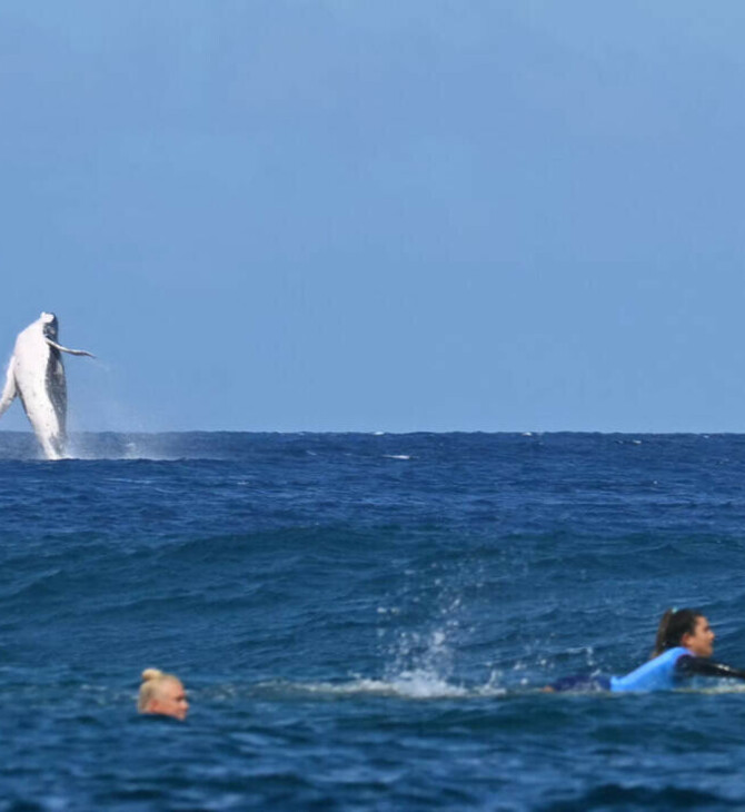 Ολυμπιακοί Αγώνες: Φάλαινα κάνει photobombing και διακόπτει το σέρφινγκ στην Ταϊτή