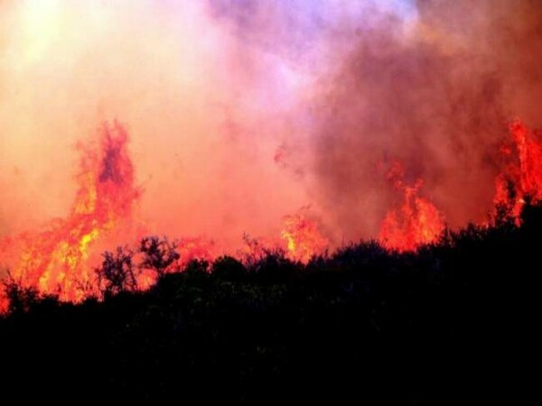 Ποινική δίωξη στον 60χρονο για εμπρησμό