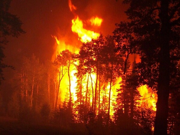 Πυρκαγιά στη Νέα Φώκαια Χαλκιδικής