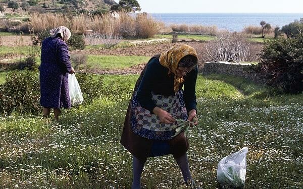 «Πάτμος: Μονοπάτια Μνήμης»: