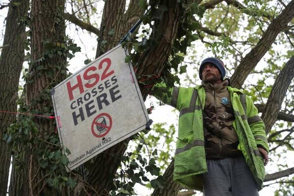 Βρετανία: Έξι εβδομάδες καραντίνα πάνω σε αιωνόβια δέντρα - Για να μην τα κόψουν