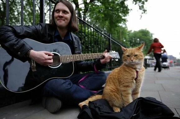 A Street Cat Named Bob: Πέθανε ο αδέσποτος γάτος που ενέπνευσε το διάσημο βιβλίο