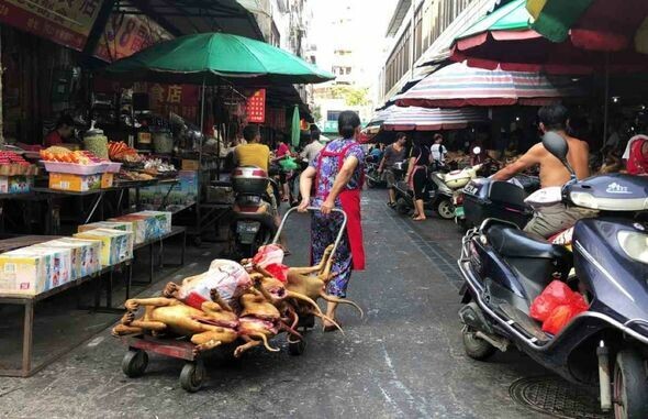 Ξεκίνησε ξανά στην Κίνα το φεστιβάλ κατανάλωσης κρέατος σκύλου: «Θα πάρει χρόνο η απαγόρευση»