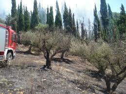 10 χρόνια κάθειρξη σε οδηγό ταξί που έβαλε 28 φωτιές