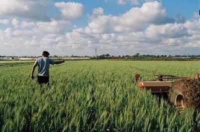 Υποψήφιος Δήμαρχος χαρίζει γη σε νέους αγρότες