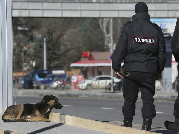 Mαζικές εκτελέσεις αδέσποτων σκύλων λίγο πριν τους αγώνες στο Σότσι