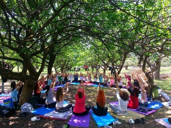 Open Yoga Day