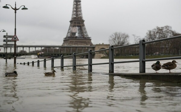 Πάπιες κολυμπούν στο οδόστρωμα: Συναγερμός στη Γαλλία για τις πλημμύρες καθώς αυξήθηκε κι άλλο η στάθμη του Σηκουάνα