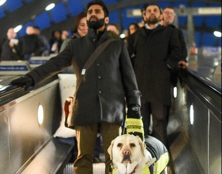 Αγενής επιβάτης απαιτούσε από τυφλό άντρα να μετακινήσει τον σκύλο- οδηγό του από τις κυλιόμενες για να περάσει