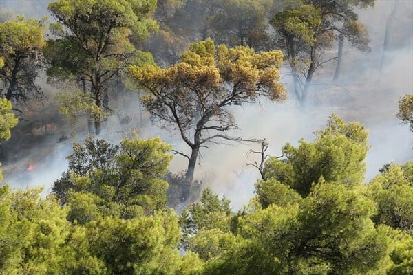 Πυρκαγιά στην Κερατέα