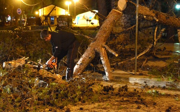 Δέντρο καταπλάκωσε αυτοκίνητο σκοτώνοντας μία γυναίκα