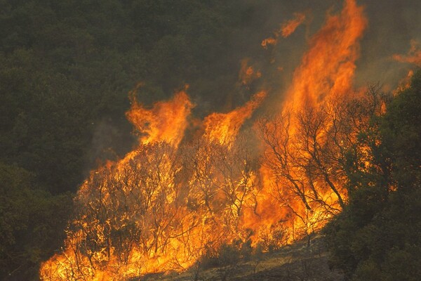 Σε ύφεση βρίσκεται η πυρκαγιά στη Σάμο