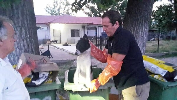 Μακάβρια ευρήματα στις Σέρρες - Διαμελισμένοι σκύλοι στα σκουπίδια του κυνοκομείου
