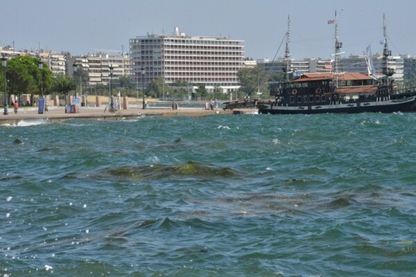 Ξεκίνησε ο καθαρισμός τής επιφάνειας του Θερμαϊκού