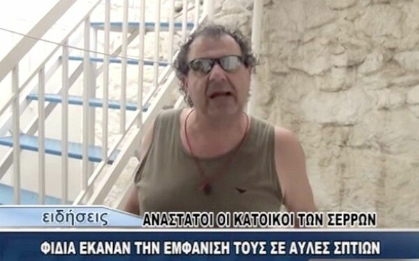 Μήνυση από τους οικολόγους στον «φιδοκτόνο των Σερρών»