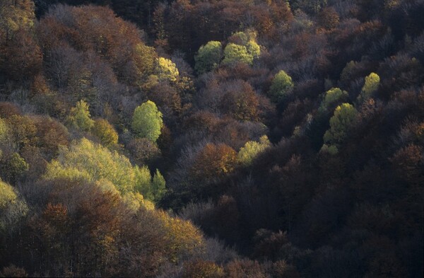 Η Ελλάδα μέσα από τα μάτια του WWF