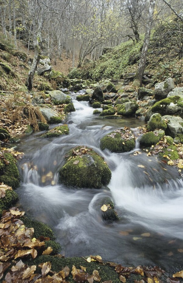 Η Ελλάδα μέσα από τα μάτια του WWF