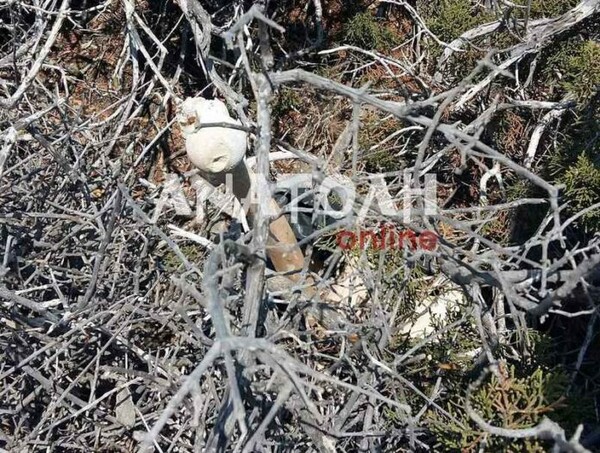 Τουρίστας βρήκε σακούλα με ανθρώπινα οστά στη Χρυσή