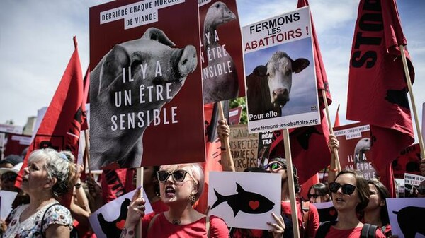 Γάλλοι κρεοπώλες ζητούν προστασία από τις επιθέσεις βίγκαν