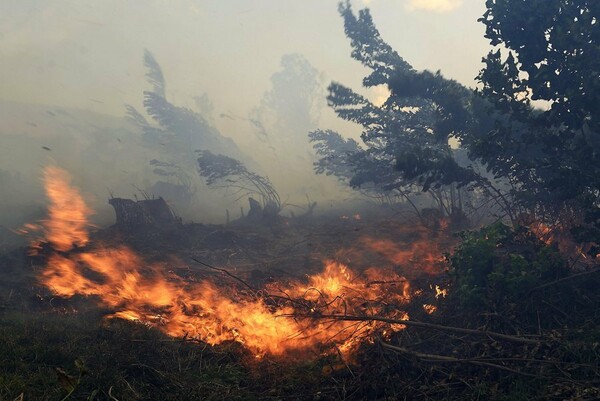 Η σωτήρια βροχή που έπεσε στην Ισπανία έσβησε τις πυρκαγιές που μαίνονταν