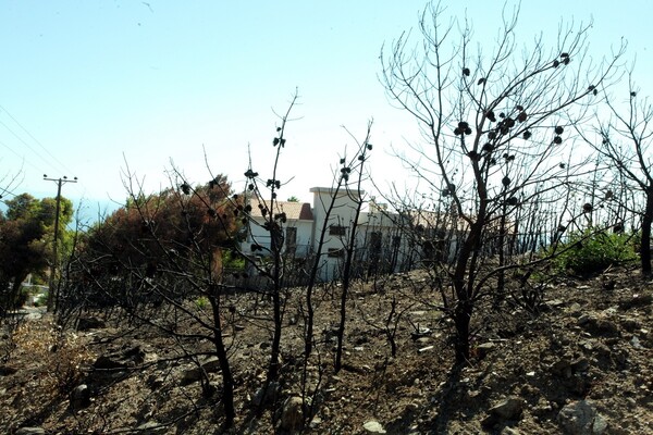 Πολιτική θύελλα για την εισαγγελική παρέμβαση στην έρευνα για το Μάτι