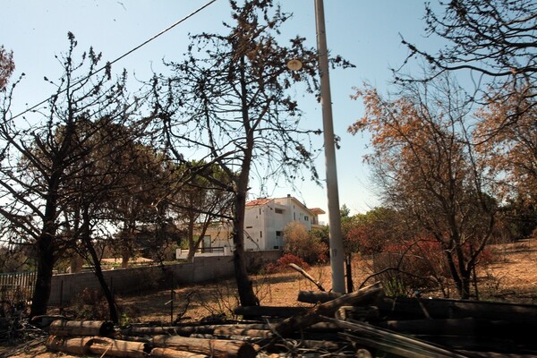 Ερώτηση 15 βουλευτών της ΝΔ για το Μάτι- Καταλογίζουν ευθύνες, λάθη και παραλείψεις στο υπ. Υγείας