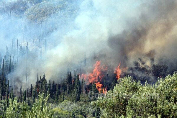 Σε εξέλιξη μεγάλη φωτιά στην Κέρκυρα - Εκκενώθηκε το χωριό Ραχτάδες