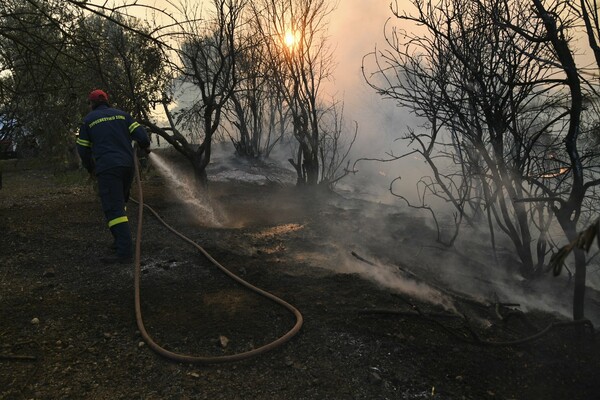 Σύλληψη 32χρονου για 9 εμπρησμούς στην Εύβοια