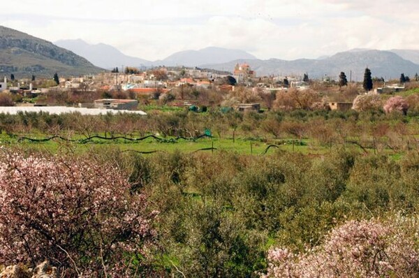 BBC: Κάποιοι Έλληνες συνταξιούχοι θα μαζεύουν χόρτα για να ζήσουν