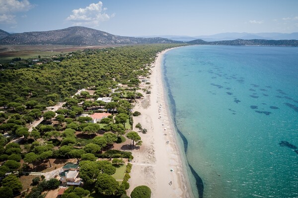 Αγνοείται 75χρονη κολυμβήτρια στον Σχοινιά