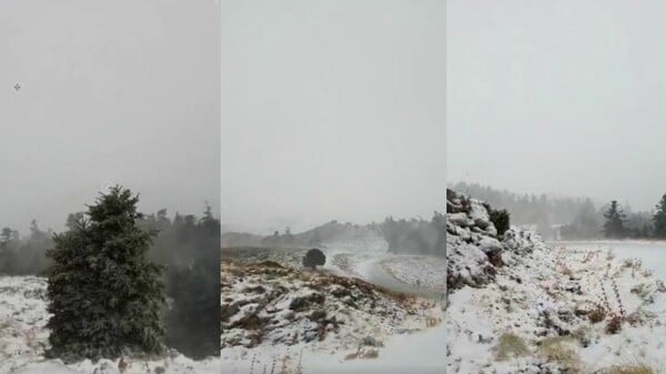 Κι όμως, χιονοθύελλα στον Παρνασσό - ΒΙΝΤΕΟ