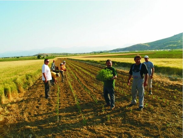 Αγρότες με εισοδήματα άνω των 15.000 ευρώ υποχρεούνται να τηρούν βιβλία