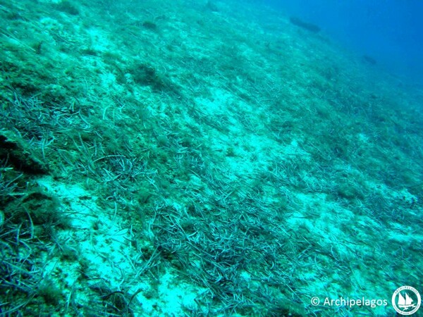 Με δυναμίτες καταστρέφουν το θαλάσσιο περιβάλλον σε Νάξο και Κουφονήσια