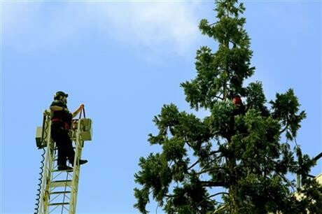 Αναστάτωση στο Σιάτλ από άνδρα που αρνείται να κατεβεί από σεκόγια